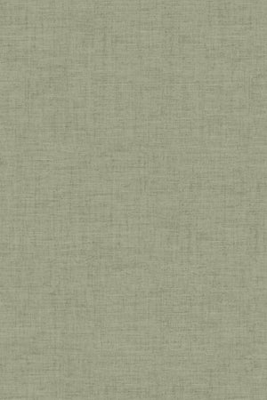 HookedOnWalls Passe Partout 2026 Colour Vibes 29807