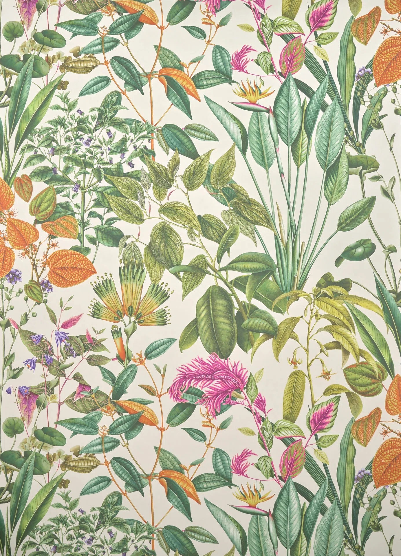 Pierre Frey Fantaisie tropicale Behang FP278001 - LAB COLOUR THE WORLD