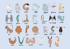 Coordonné Random Kids Animal Alphabet behang 9700142 behang afbeelding 1