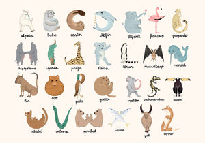 Coordonné Random Kids Animal Alphabet behang 9700140 behang afbeelding 1