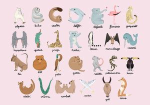 Coordonné Random Kids Animal Alphabet behang 9700141 behang afbeelding 1