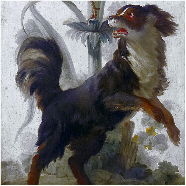 Les Dominotiers Reed With Dog Behang DOM 158-rol