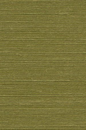 ARTE All Naturals Agave 90531A - LAB COLOUR THE WORLD