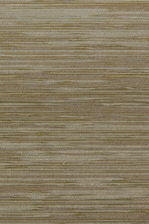 ARTE CA4 Cobra CA43 - LAB COLOUR THE WORLD