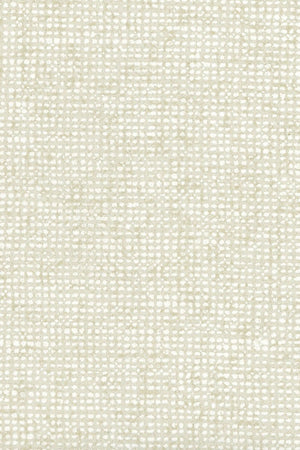 ARTE Chanderi Neutrals Non - woven 91501D - LAB COLOUR THE WORLD