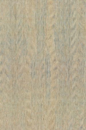 ARTE Fierce Amazone 2 23501 - LAB COLOUR THE WORLD