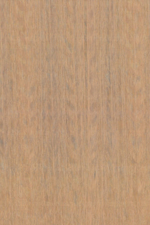ARTE Fierce Amazone 2 23503 - LAB COLOUR THE WORLD