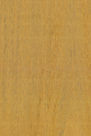 ARTE Fierce Amazone 2 23504 - LAB COLOUR THE WORLD