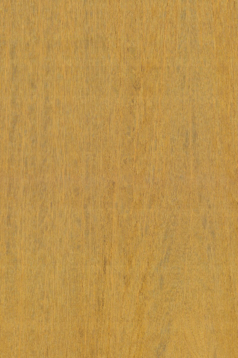 ARTE Fierce Amazone 2 23504 - LAB COLOUR THE WORLD