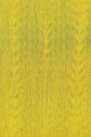 ARTE Fierce Amazone 2 23505 - LAB COLOUR THE WORLD