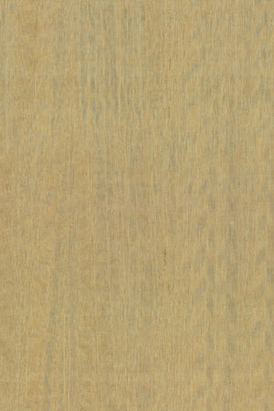 ARTE Fierce Amazone 2 23506 - LAB COLOUR THE WORLD