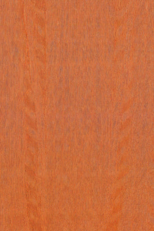 ARTE Fierce Amazone 2 23507 - LAB COLOUR THE WORLD
