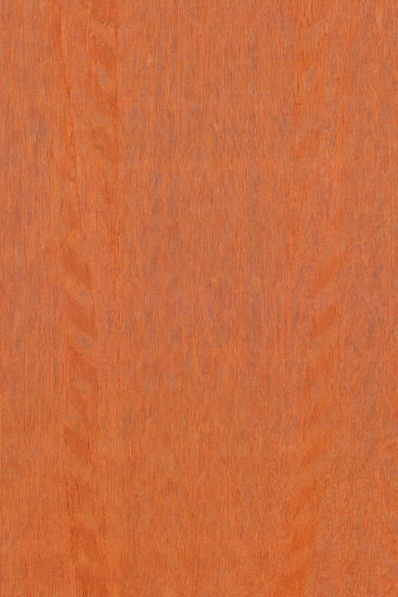 ARTE Fierce Amazone 2 23507 - LAB COLOUR THE WORLD