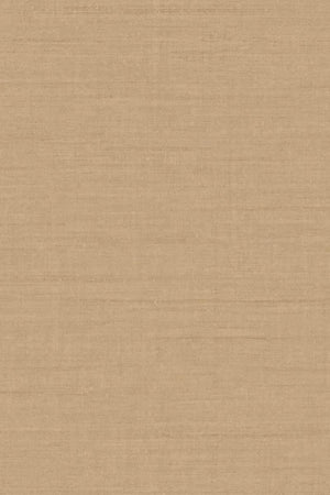 ARTE Flemish Flax Flemish Flax 67734 - LAB COLOUR THE WORLD