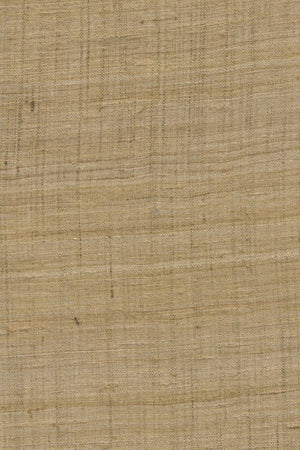 ARTE Ghicha Silk Wild Silk 86549 - LAB COLOUR THE WORLD