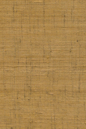 ARTE Ghicha Silk Wild Silk 86550 - LAB COLOUR THE WORLD