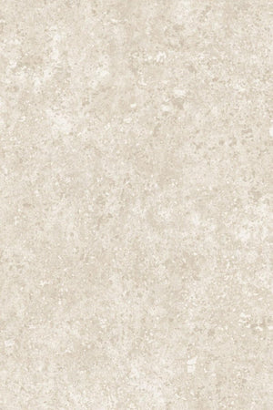 ARTE Kaolin Calcaire Stucco 30300 - LAB COLOUR THE WORLD
