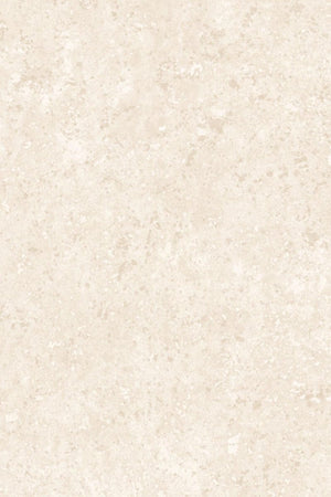ARTE Kaolin Calcaire Stucco 30302 - LAB COLOUR THE WORLD
