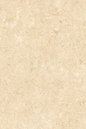 ARTE Kaolin Calcaire Stucco 30305 - LAB COLOUR THE WORLD
