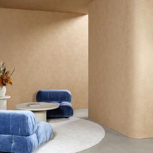 ARTE Kaolin Calcaire Stucco 30314 - LAB COLOUR THE WORLD