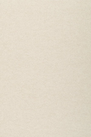 ARTE Lin Neutrals Non - woven 40008A - LAB COLOUR THE WORLD