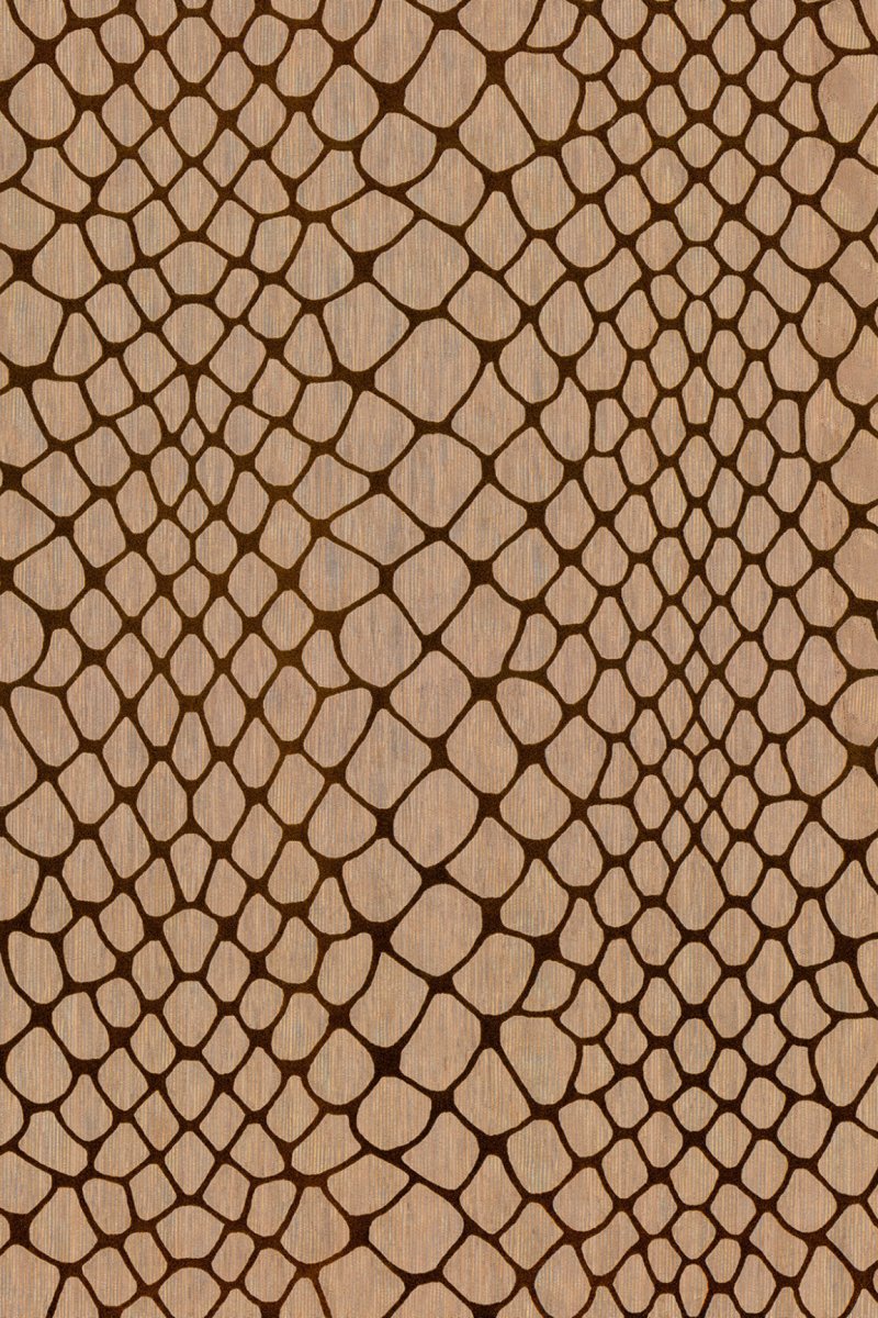 ARTE Maze Amazone 2 23582 - LAB COLOUR THE WORLD