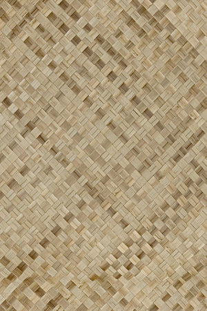 ARTE Moments Intuition INT271 - LAB COLOUR THE WORLD