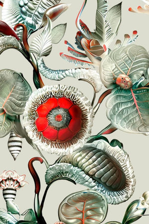 ARTE Moooi Wallcovering Green House Coccinella Bella | Stone Grey MO5000 - LAB COLOUR THE WORLD