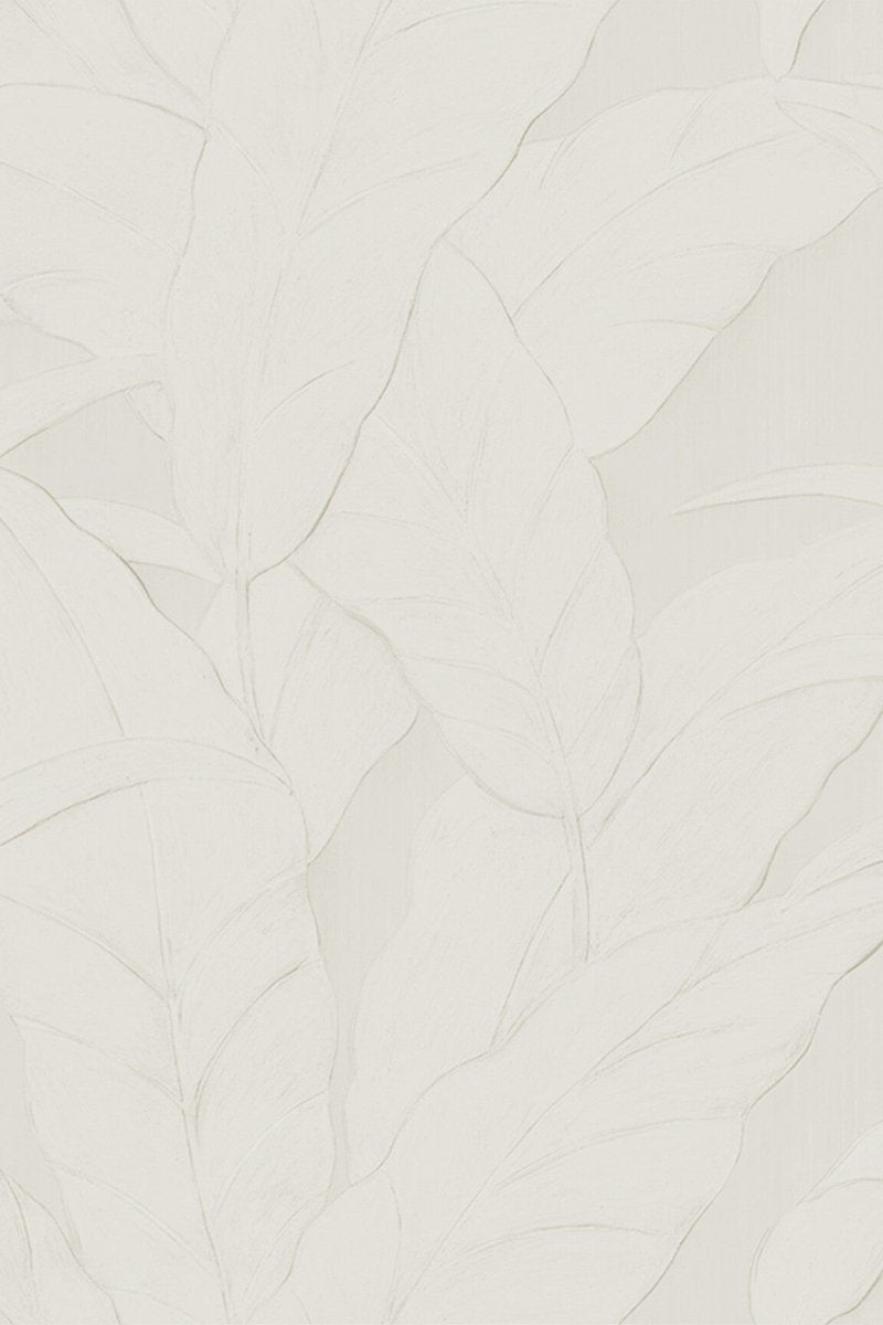 ARTE Musa Monsoon 2.0 75001A - LAB COLOUR THE WORLD
