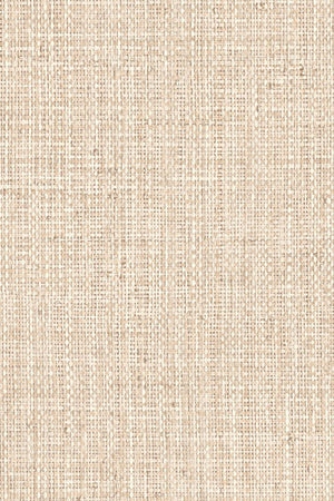 ARTE Nongo Neutrals Vinyl 49510B - LAB COLOUR THE WORLD