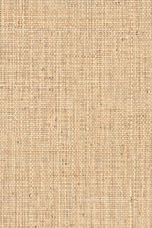 ARTE Nongo Neutrals Vinyl 49511B - LAB COLOUR THE WORLD