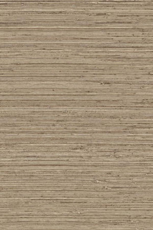 ARTE Pampas Matiz 73523 - LAB COLOUR THE WORLD