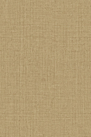 ARTE Peerless Intuition INT243 - LAB COLOUR THE WORLD