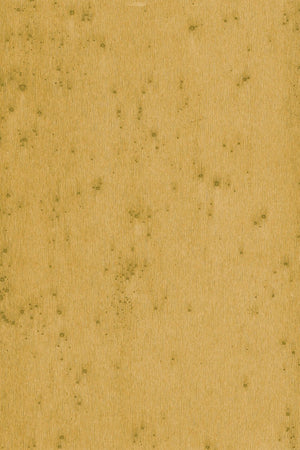 ARTE Stellar Lush 37519A - LAB COLOUR THE WORLD