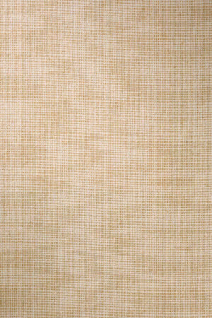 ARTE Tulle Manila 73080A - LAB COLOUR THE WORLD