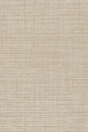 ARTE Unito Tierra JV800 Tierra 6658 - LAB COLOUR THE WORLD
