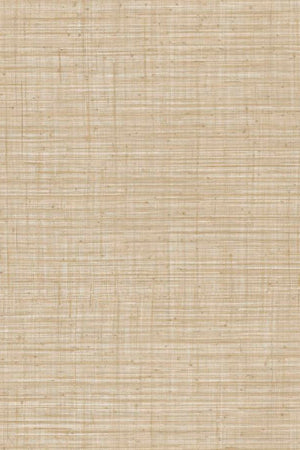 ARTE Unito Tierra JV800 Tierra 6659 - LAB COLOUR THE WORLD