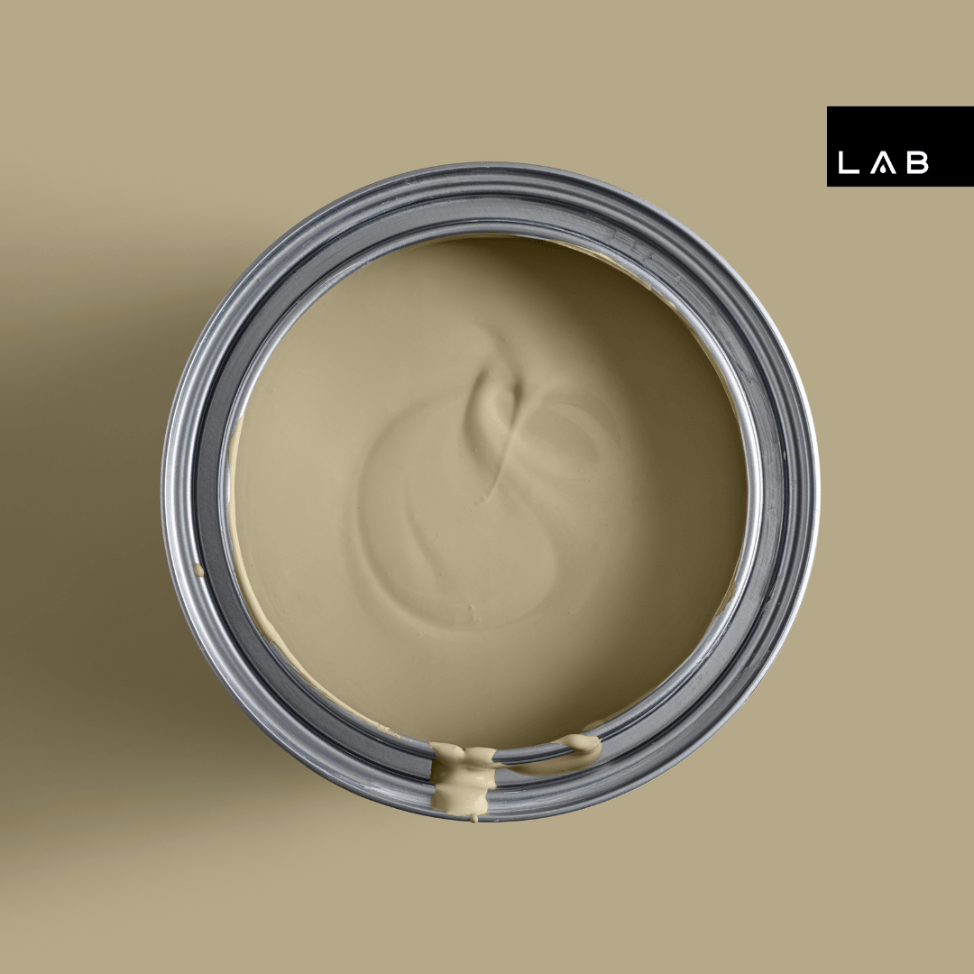 BEACH WALK NO. 415 - LAB COLOUR THE WORLD