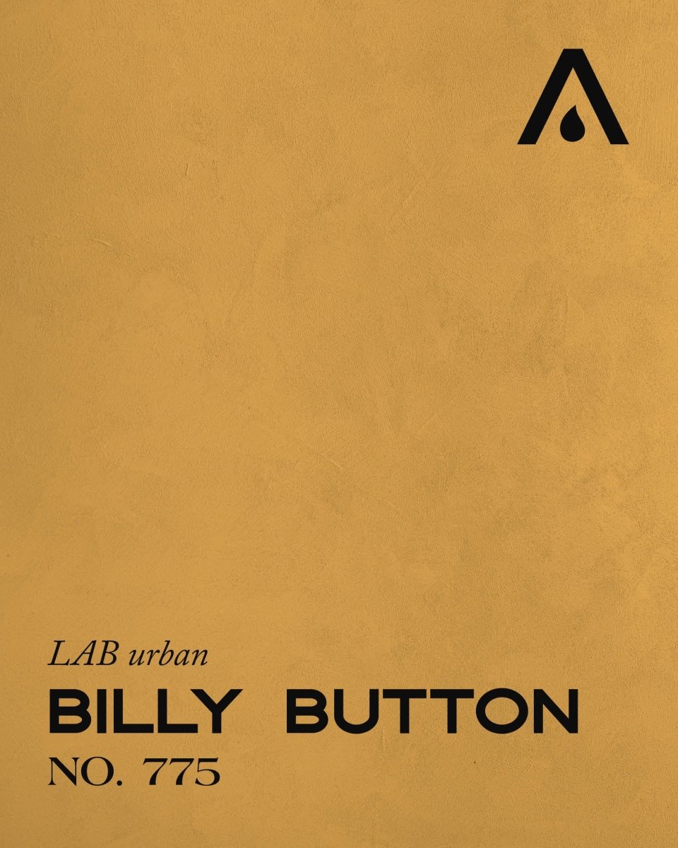 BILLY BUTTON NO. 775 - LAB COLOUR THE WORLD