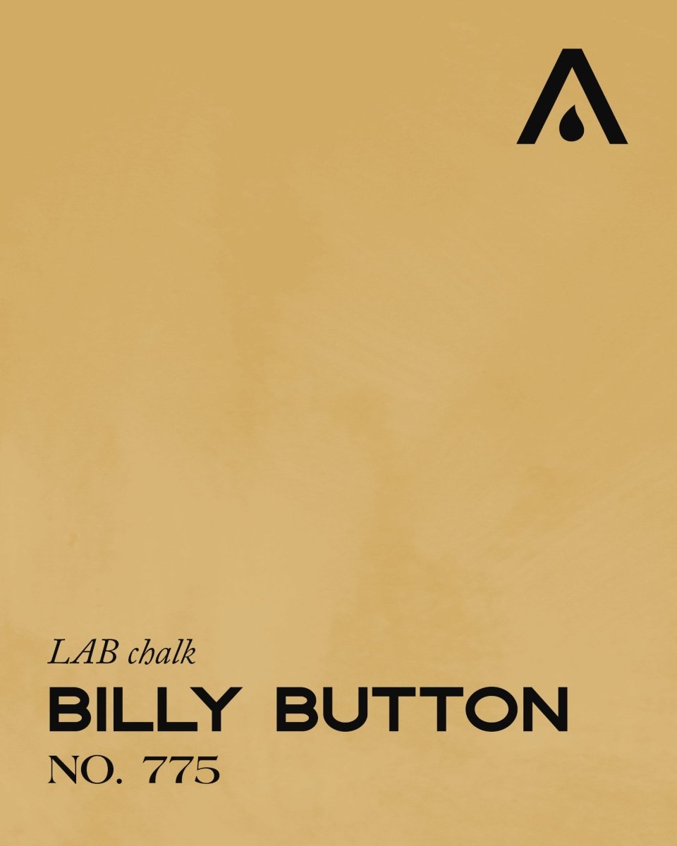 BILLY BUTTON NO. 775 - LAB COLOUR THE WORLD