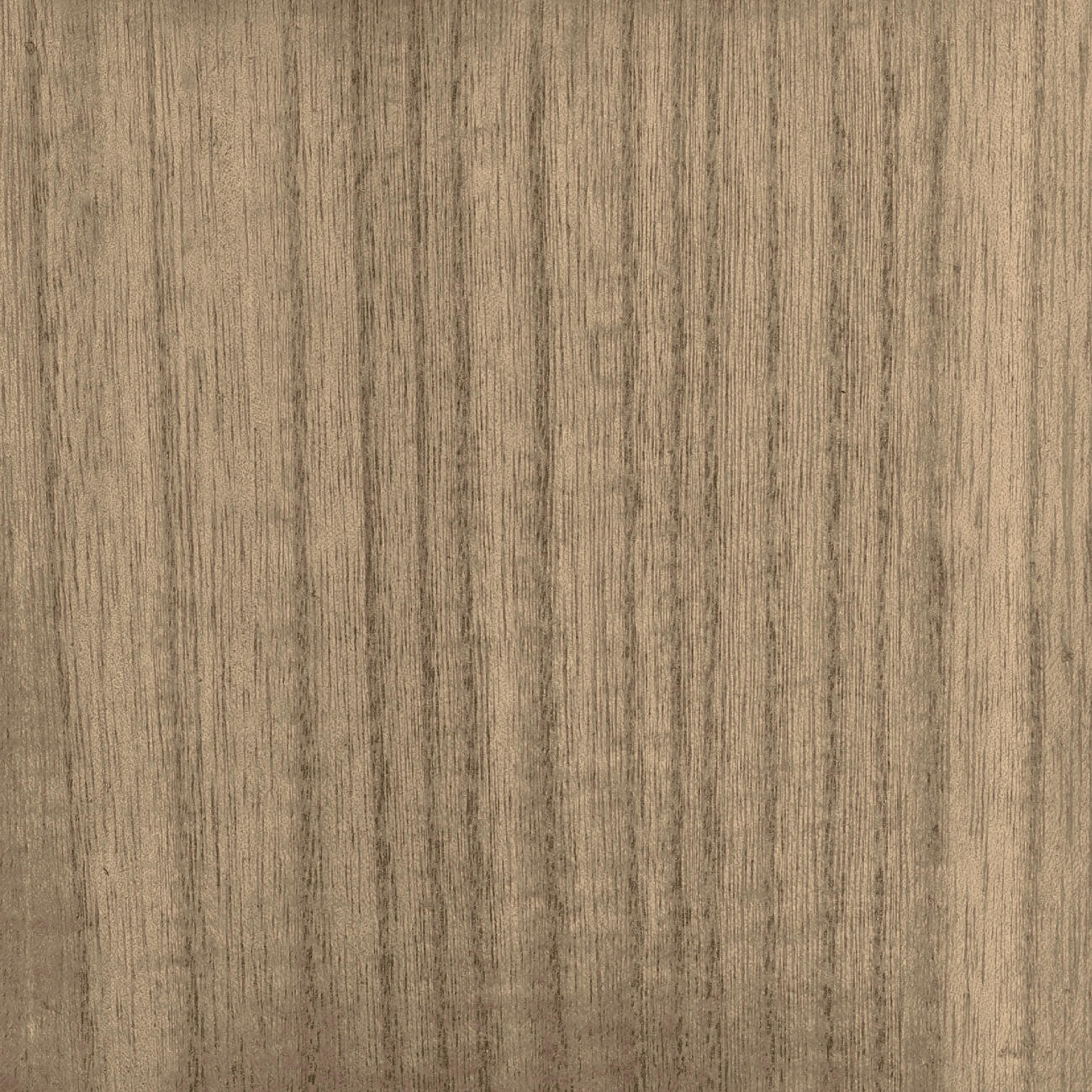 CMO Paris Bois Behang CMO WBO 01 - Taupe