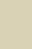 Bone no. 15 - LAB COLOUR THE WORLD