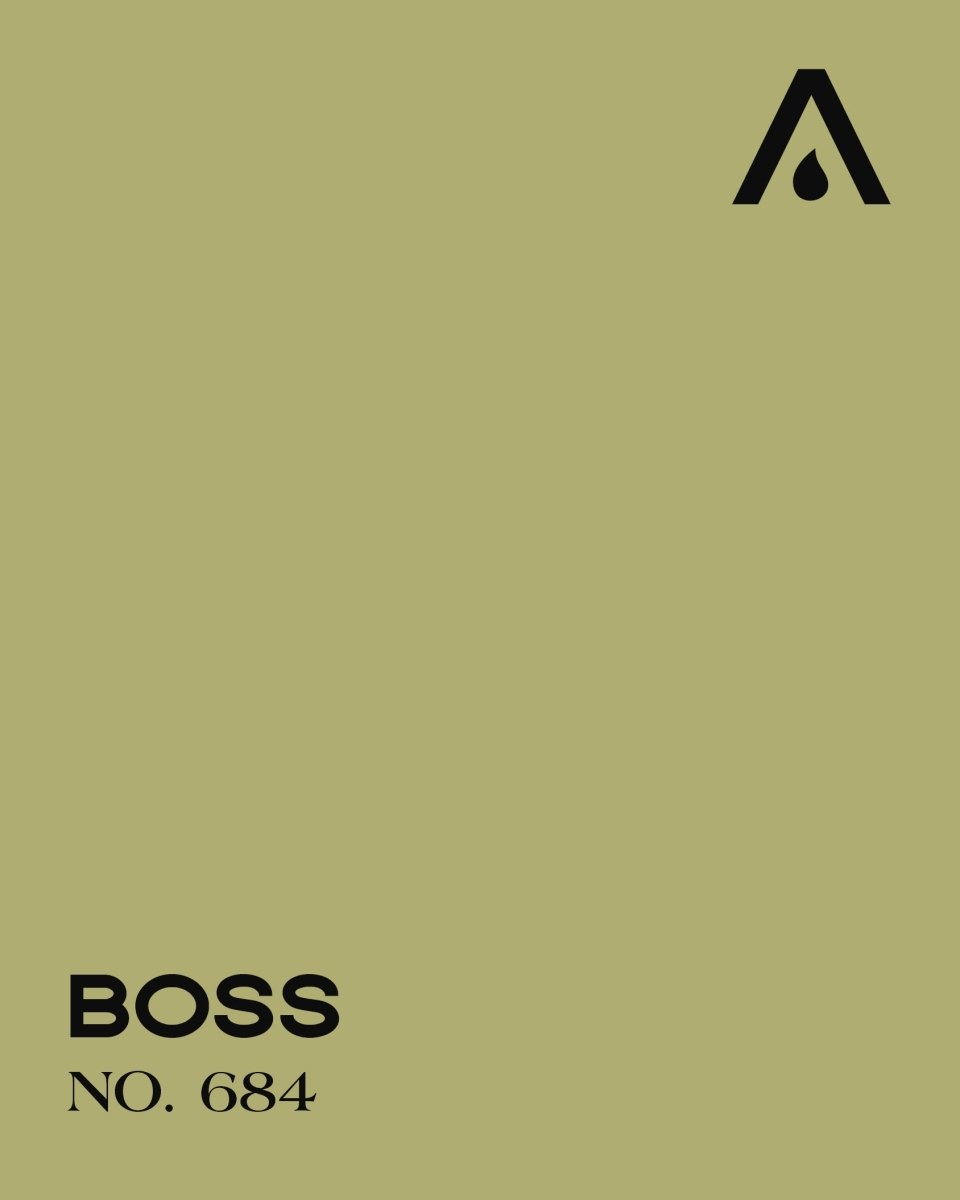 BOSS NO. 684 - LAB COLOUR THE WORLD