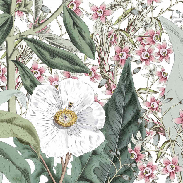 Les Dominotiers Botanical Garden Behang DOM 1514