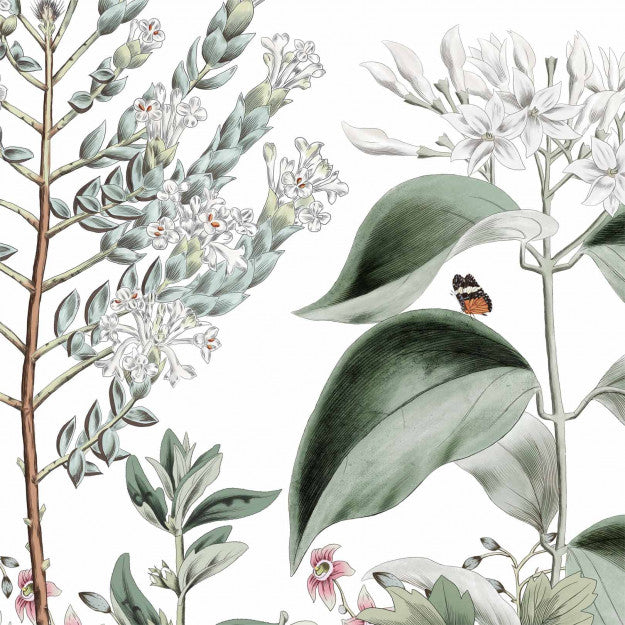 Les Dominotiers Botanical Garden Behang DOM 1514