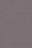 Brassica no. 271 - LAB COLOUR THE WORLD