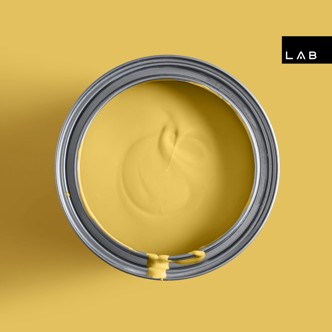 BUMBLEBEE NO. 872 - LAB COLOUR THE WORLD