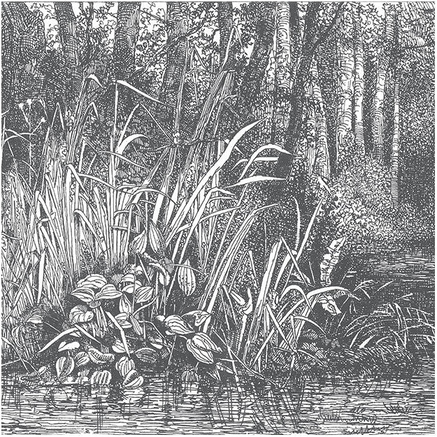 Les Dominotiers Bushy Woods Behang DOM 1516