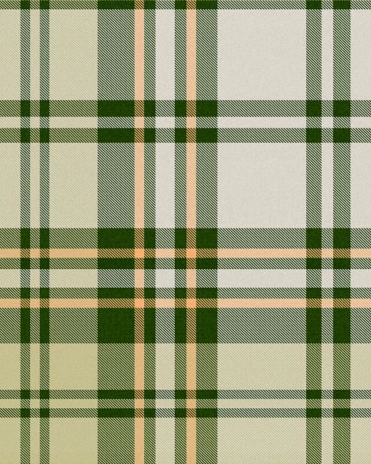 Mind The Gap Chesterfield Plaid Juniper Behang