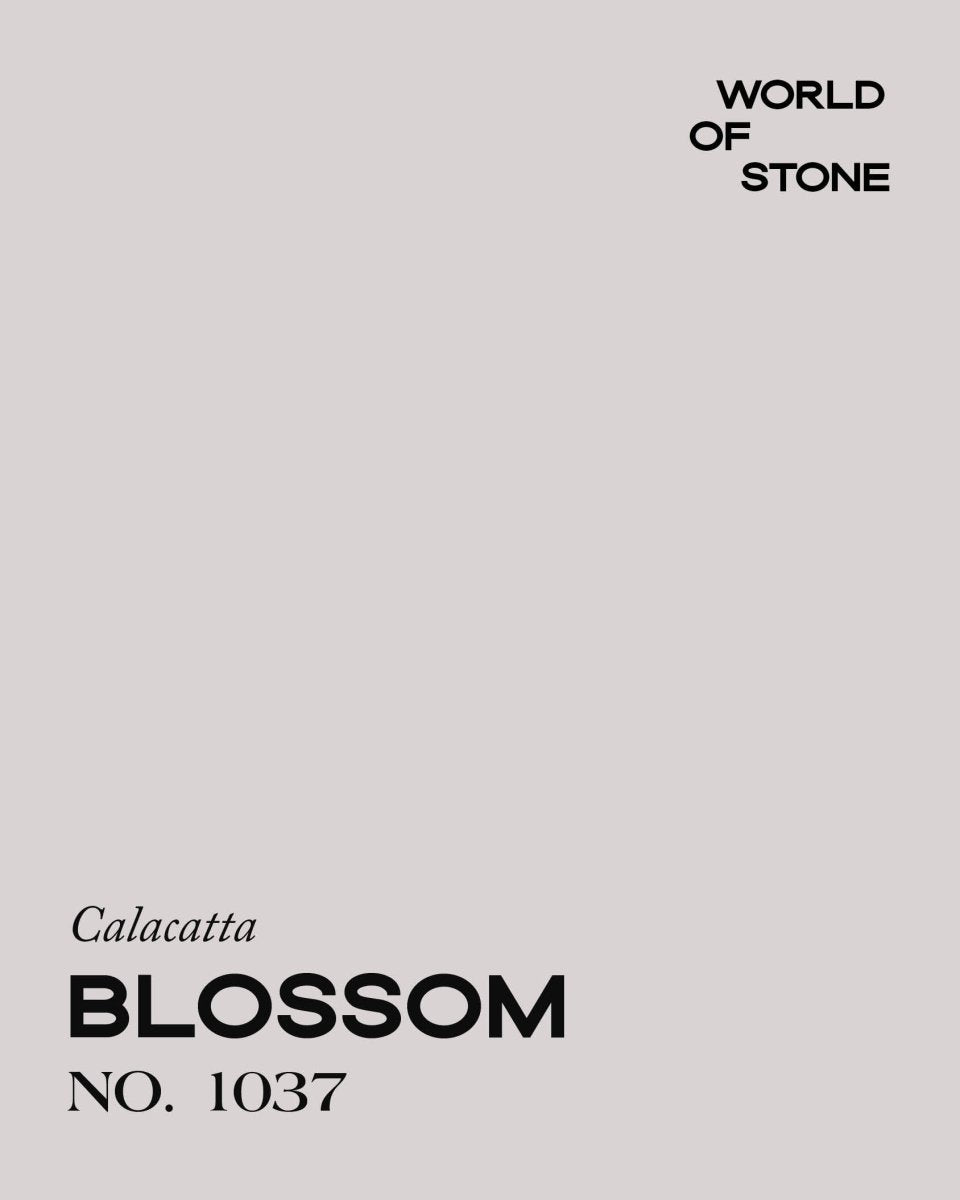 CALACATTA BLOSSOM NO. 1037 - LAB COLOUR THE WORLD